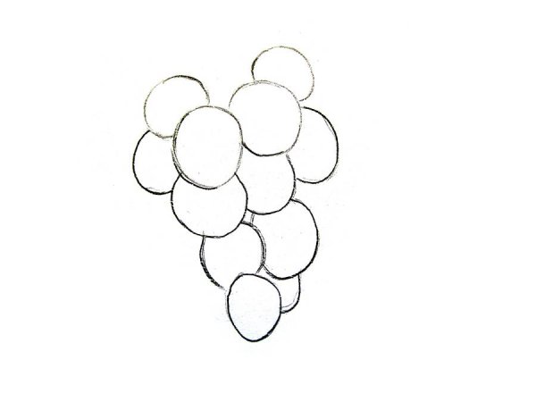 Нарисовать виноград поэтапно