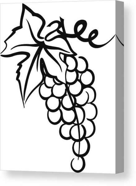 Виноград раскраска для детей