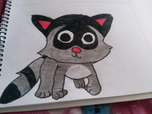 Поэтапный рисунок енота