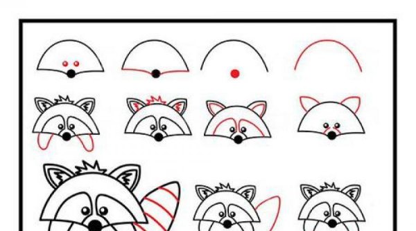 Нарисовать енота поэтапно