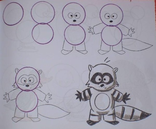 Поэтапное рисование енота