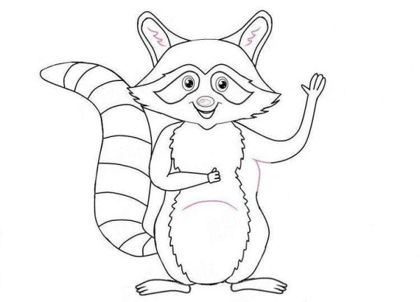 Поэтапное рисование енота