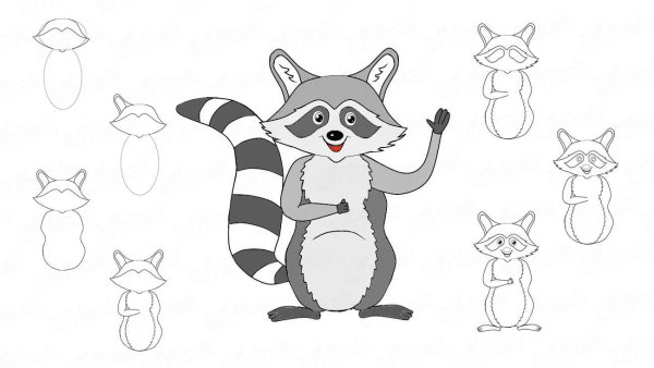 Енот рисунок карандашом для детей