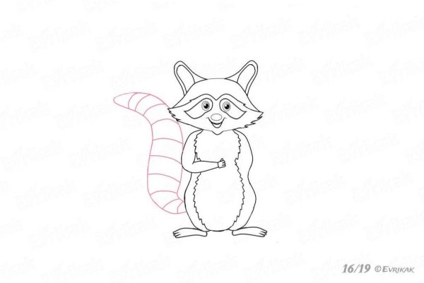 Как нарисовать енота