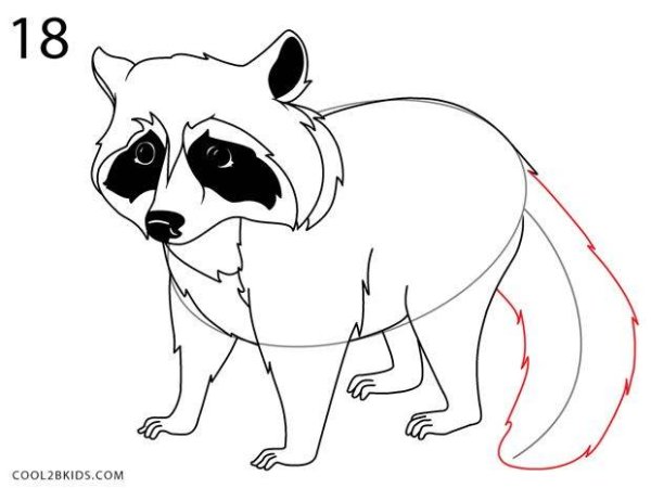 Енот для рисования