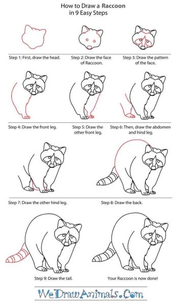 Енотик карандашом для срисовки