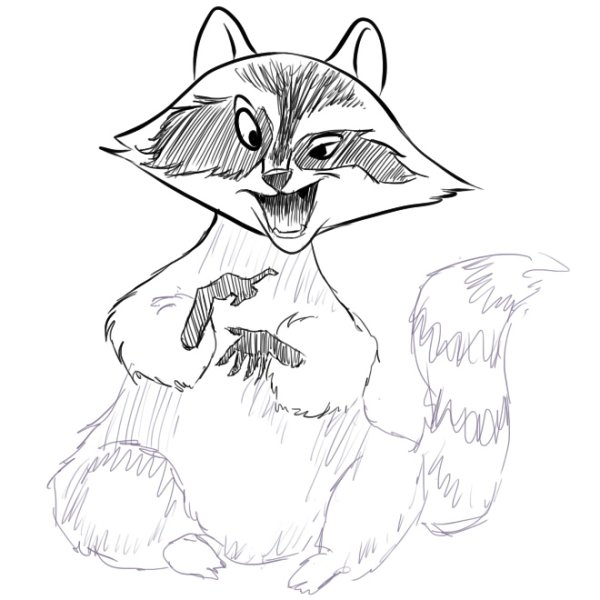 Енот поэтапно карандашом для начинающих