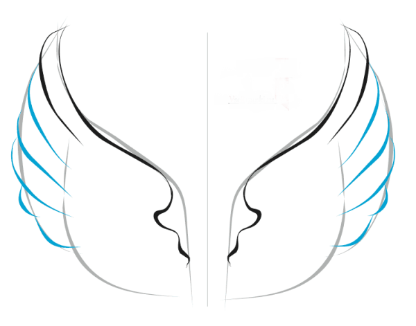 Крылья лёгкие