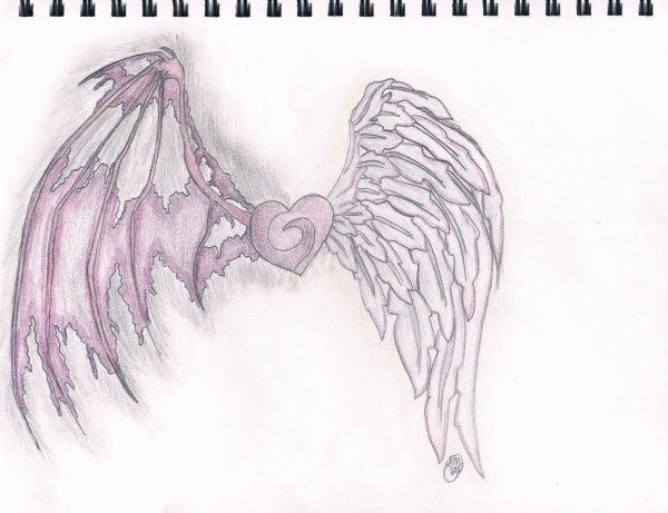 Крылья для срисовки