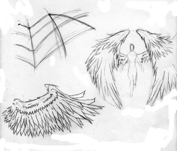 Крылья для рисования