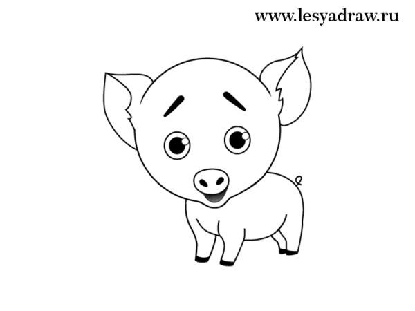 Свинья рисунок для детей карандашом