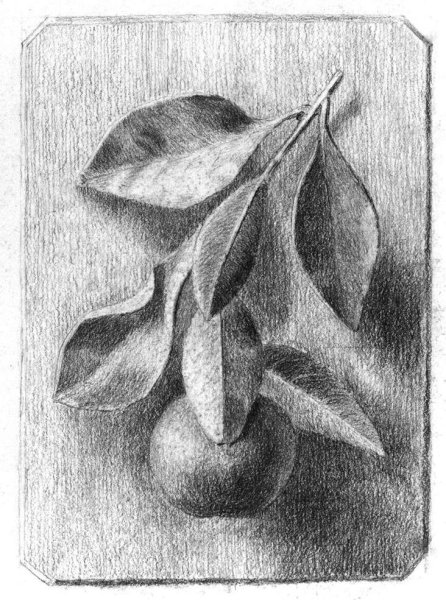 Рисунки карандашом штриховка