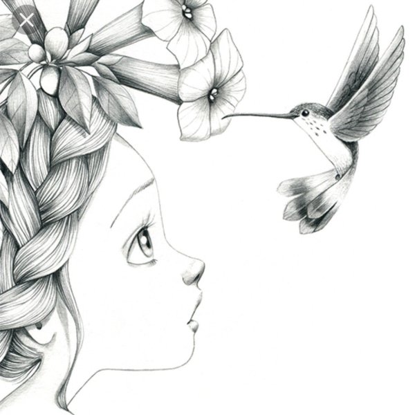 Красивые рисунки карандашом для срисовки