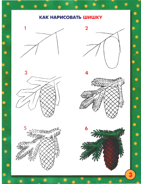 Как нарисовать шишку