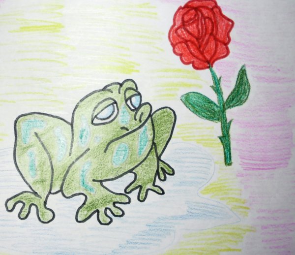 Гаршин сказка о жабе и Розе иллюстрации