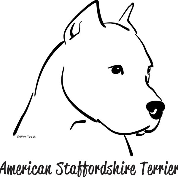 Контур стаффорда