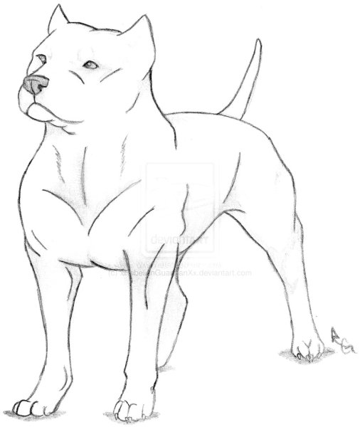 Дог рисунки для срисовки легкие