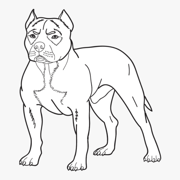 Стаффи силуэт