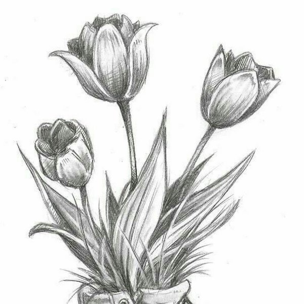 Рисунки цветов карандашом