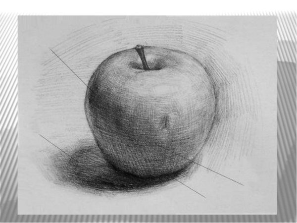 Натюрморт яблоко карандашом