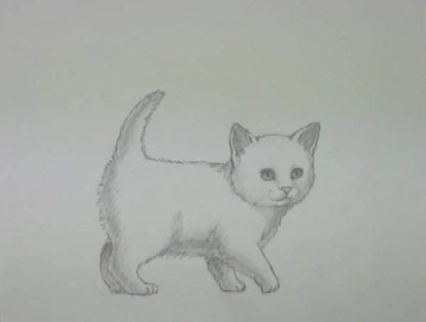 Классные рисунки карандашом