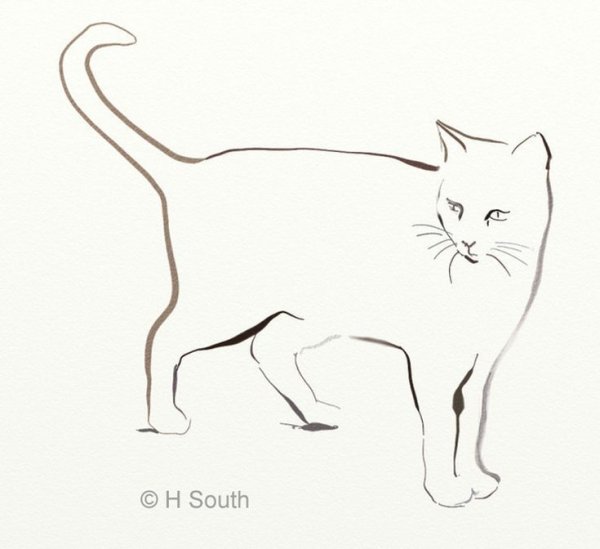 Портрет кошки карандашом