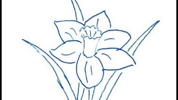 Аленький цветочек рисунок карандашом