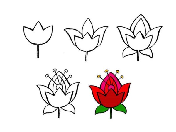 Аксаков Аленький цветочек раскраска