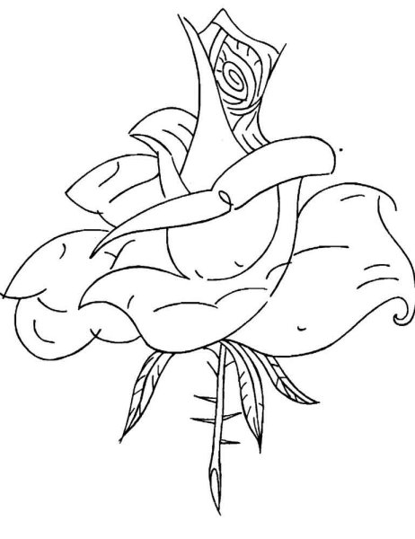 Аленький цветочек рисунок для срисовки