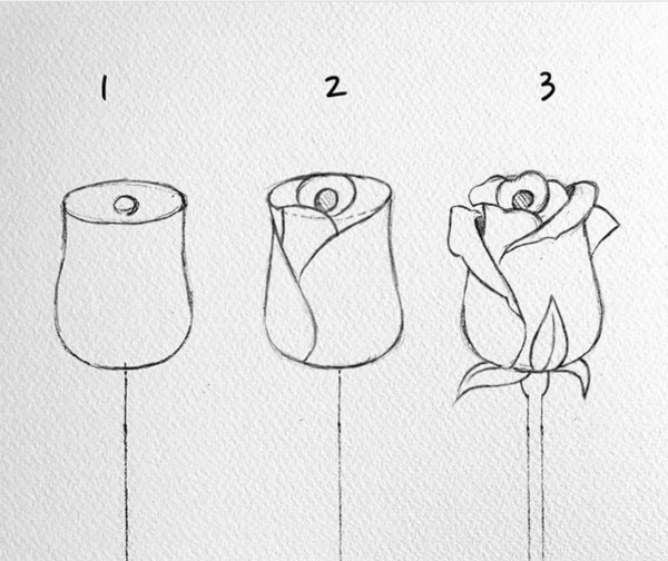 Схема рисования розы карандашом