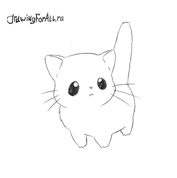 Кошка рисунок карандашом