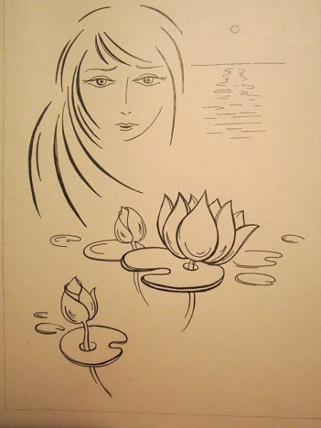 Аленький цветочек карандашом