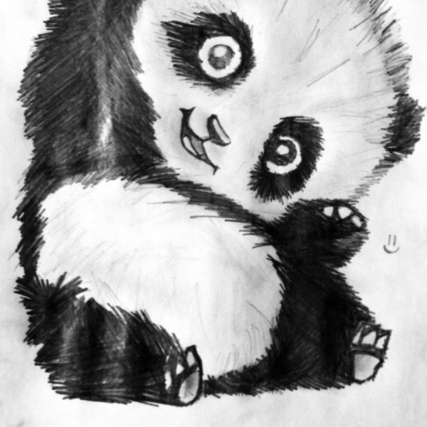 Рисунок панды карандашом легко