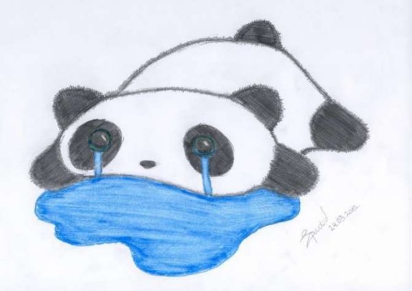 Панда для рисования