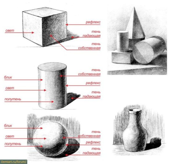 Правила светотени в рисунке