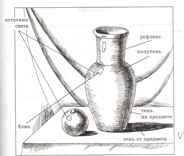 Этапы рисования натюрморта карандашом