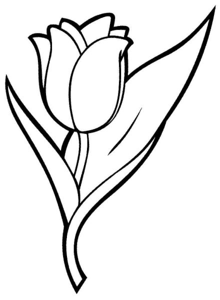 Пошаговые рисунки цветов