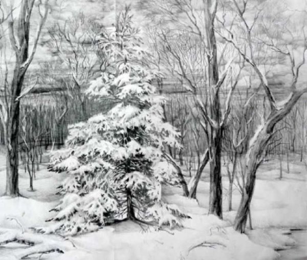 Зимний лес рисунок карандашом