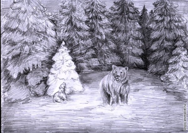 Зимний пейзаж карандашом