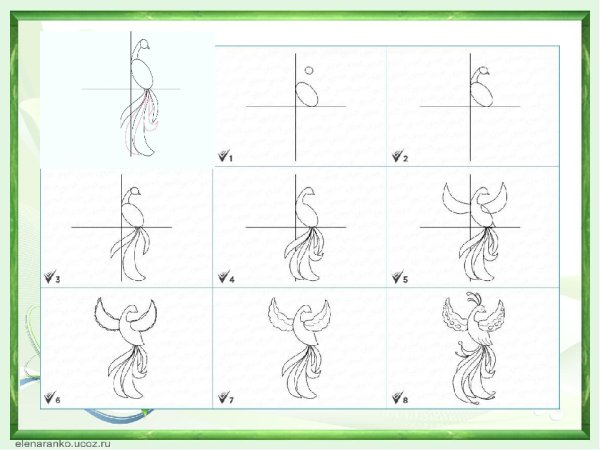Жар птица поэтапное рисование