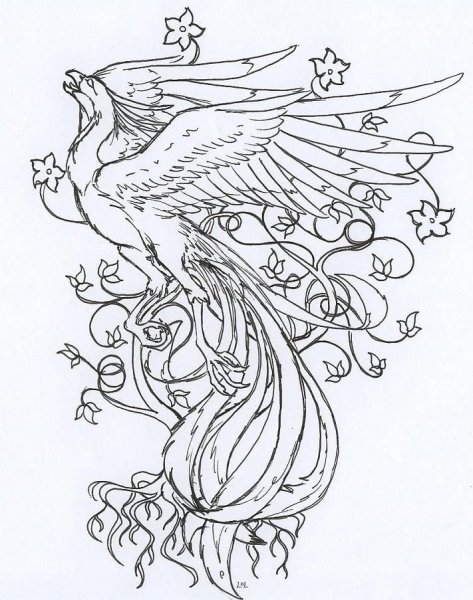 Эскиз сказочной птицы