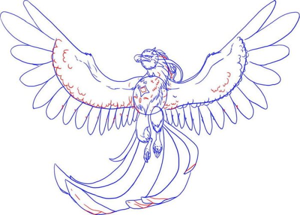 Феникс рисунок для срисовки