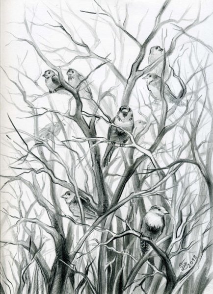 Весна карандашом