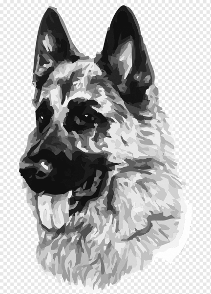 Овчарка Графика