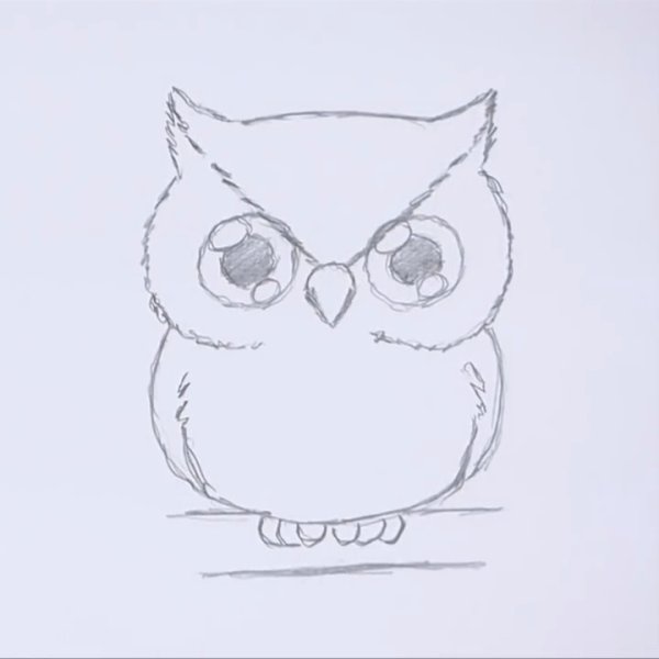 Как нарисовать сову