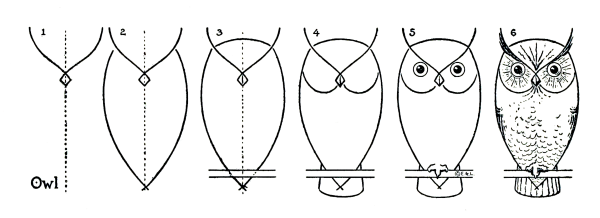 Пошаговое рисование Совы