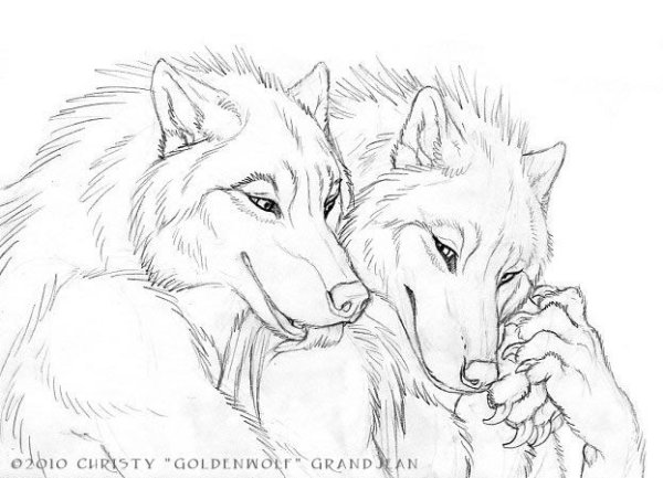 Влюбленные волки карандашом