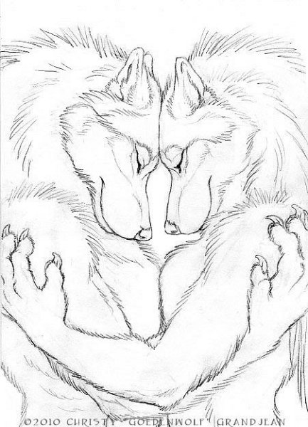 Волки карандашом пара