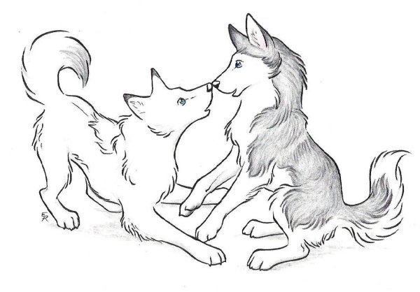 Кошка и собака для срисовки