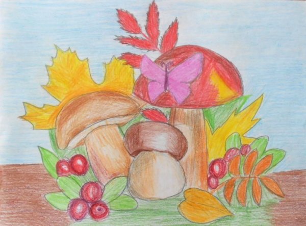 Рисунки карандашом природа